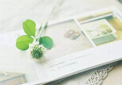 日本女足队员赢得胜利，挺进决赛